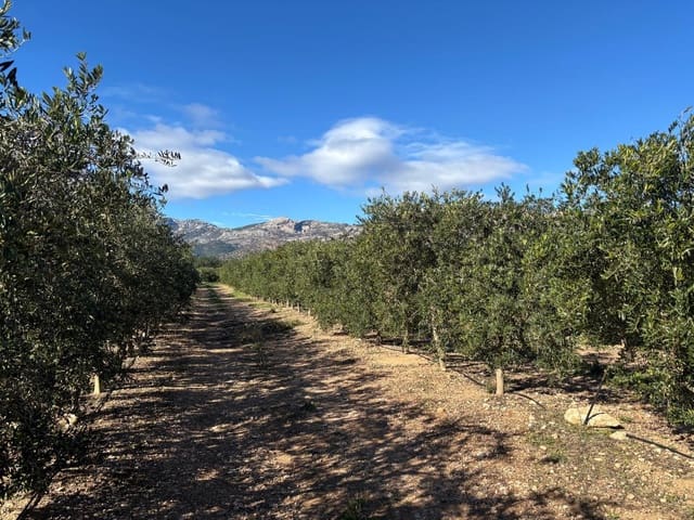 1 soveværelse Finca/Landehus til salg i Xerta - € 300.000 (Ref: 9571401)