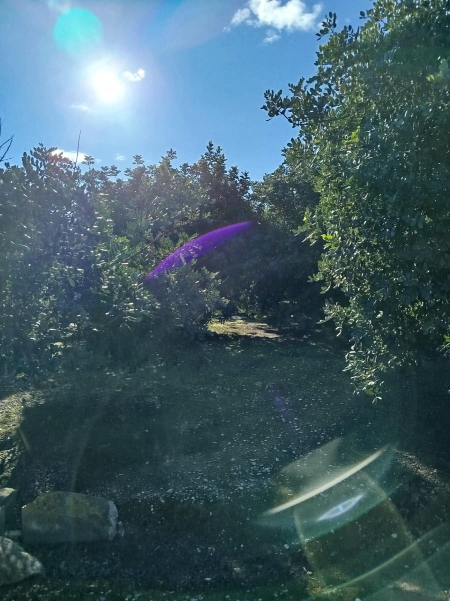 Terreno/Finca Rústica en Xerta en venta - 55.000 € (Ref: 9599731)