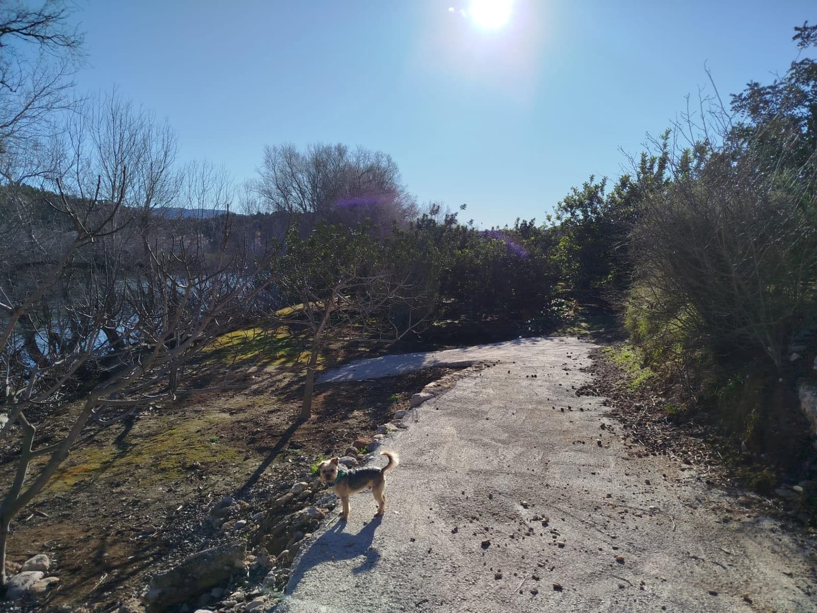 Terreno/Finca Rústica en Xerta en venta - 55.000 € (Ref: 9599731)