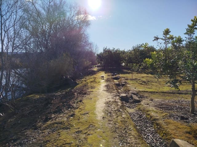 Terreno/Finca Rústica en Xerta en venta - 55.000 € (Ref: 9599731)