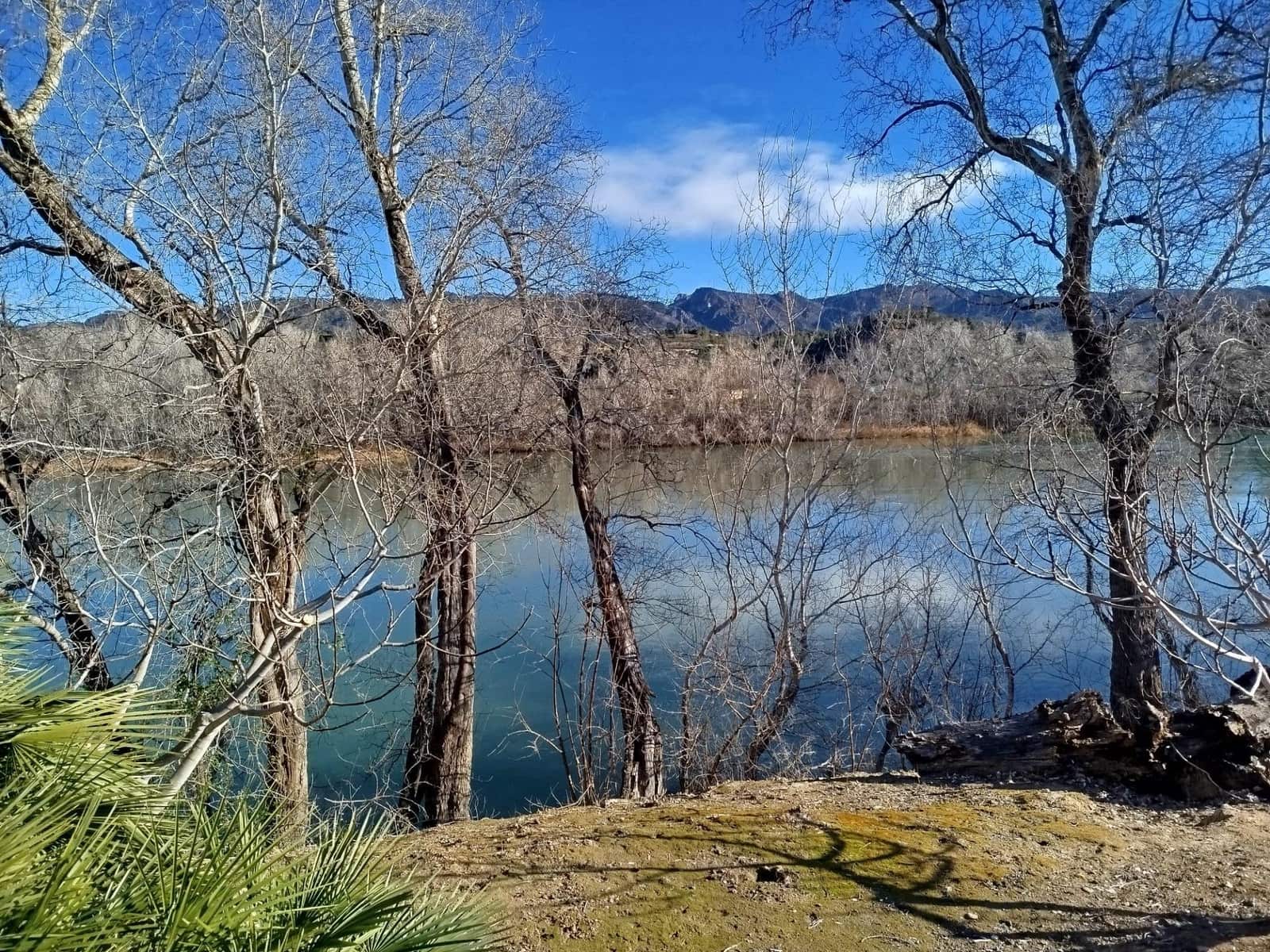 Terreno/Finca Rústica en Xerta en venta - 55.000 € (Ref: 9599731)