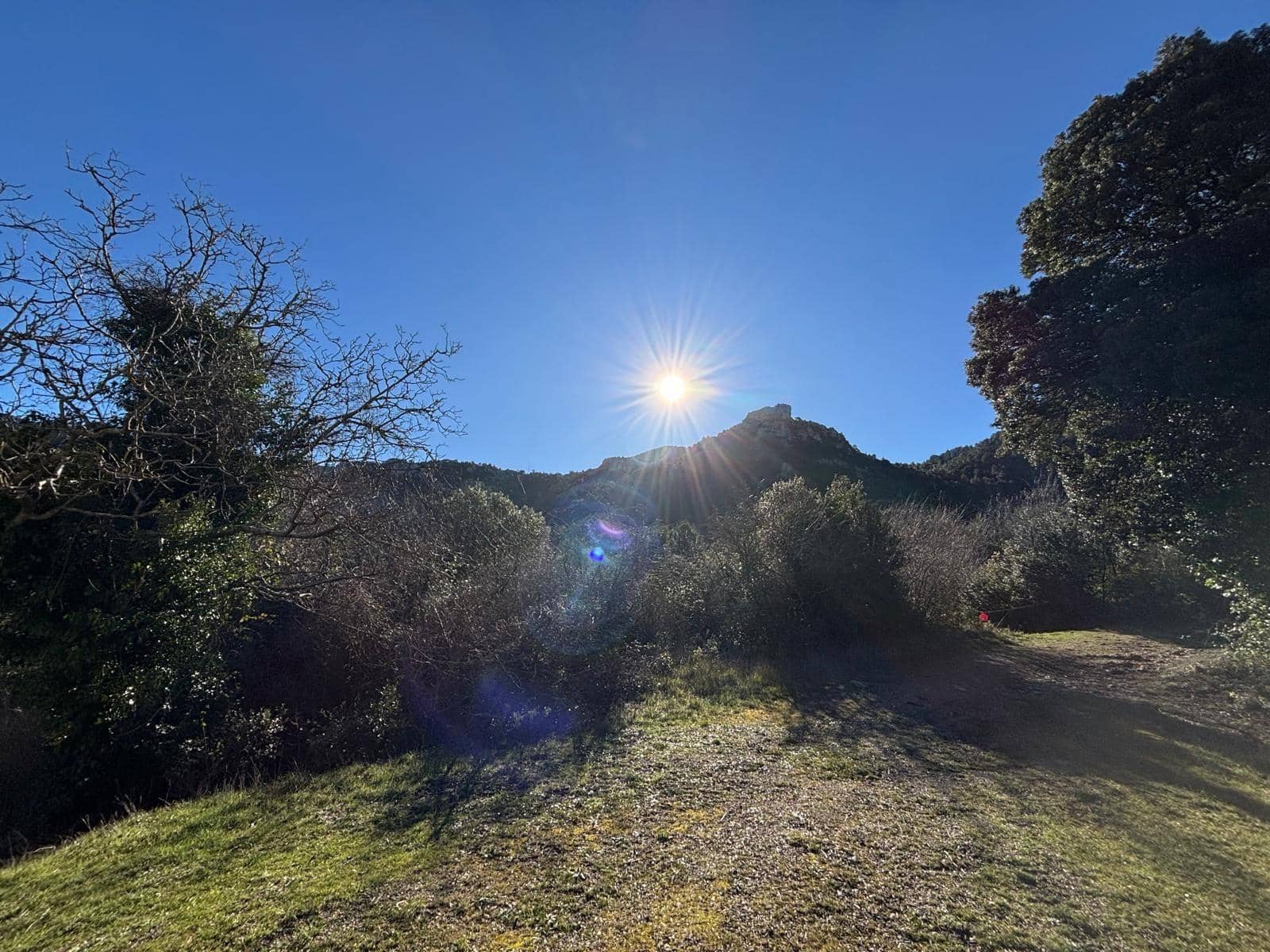 5 quarto Quinta/Casa Rural para venda em Alfara de Carles - 160 000 € (Ref: 9634813)