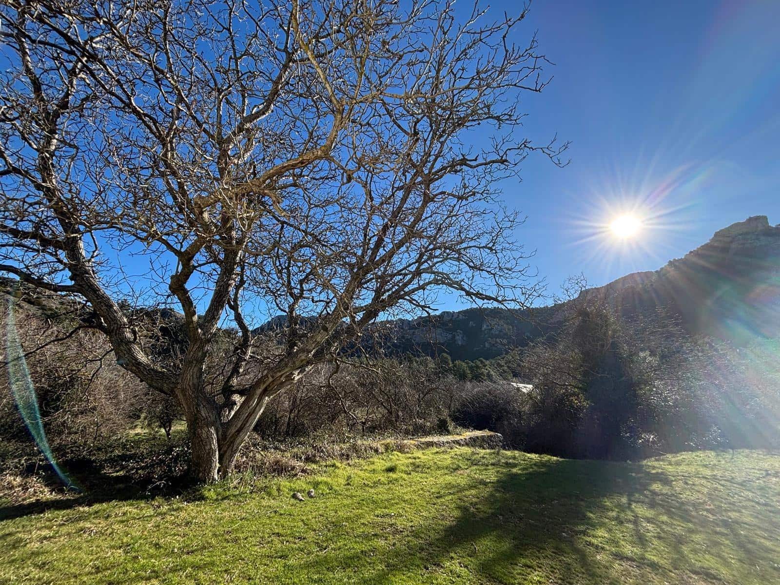 5 quarto Quinta/Casa Rural para venda em Alfara de Carles - 160 000 € (Ref: 9634813)