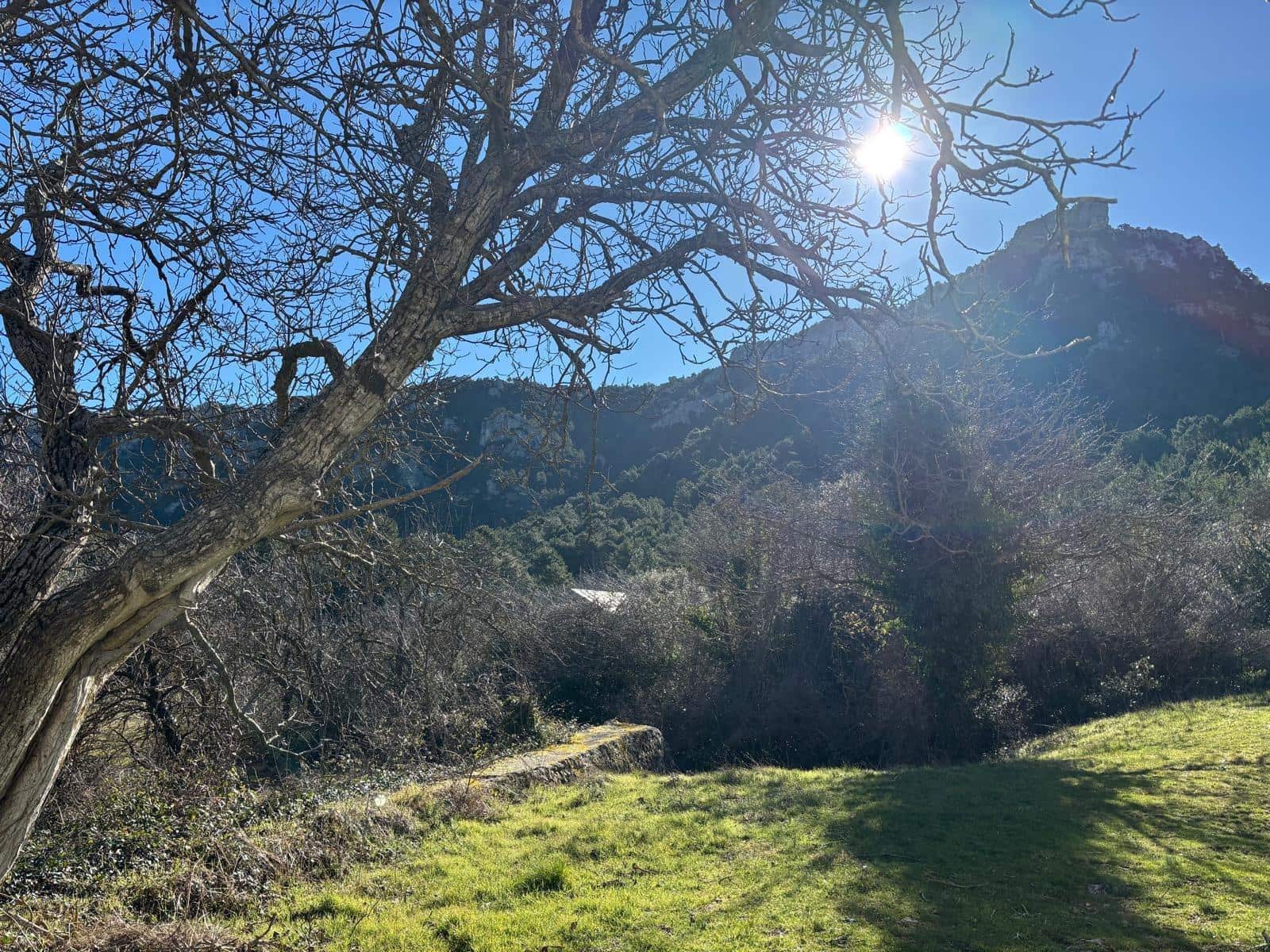 5 quarto Quinta/Casa Rural para venda em Alfara de Carles - 160 000 € (Ref: 9634813)