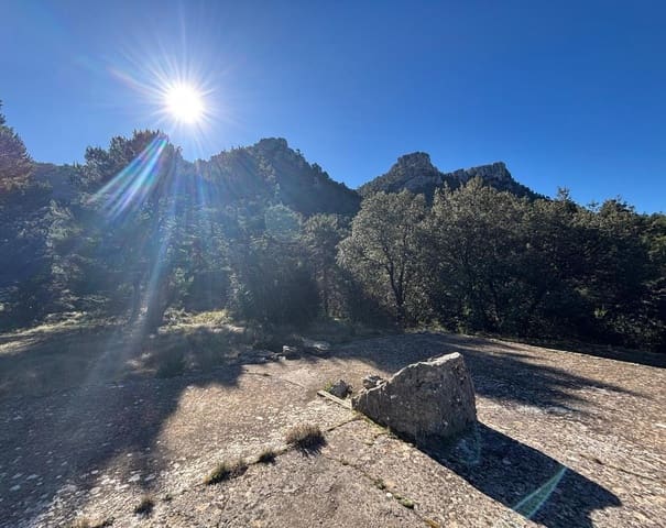 Landgrundstück zu verkaufen in Alfara de Carles - 49.000 € (Ref: 9634814)