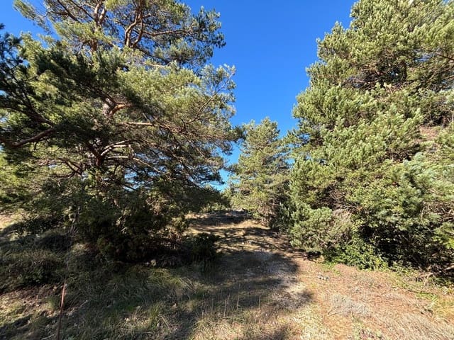 Landgrundstück zu verkaufen in Alfara de Carles - 49.000 € (Ref: 9634814)