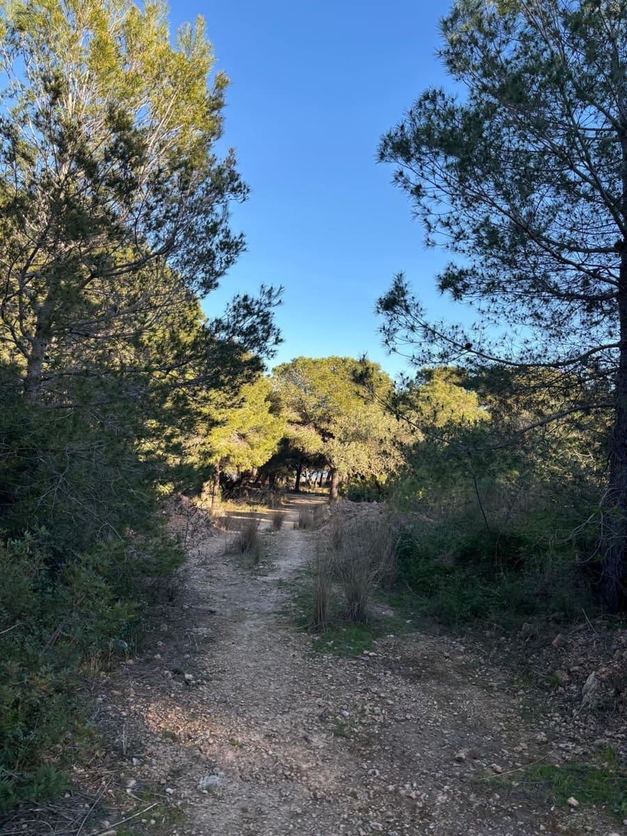 6 makuuhuone Huvila myytävänä paikassa Alcanar mukana uima-altaan - 415 000 € (Ref: 9634816)