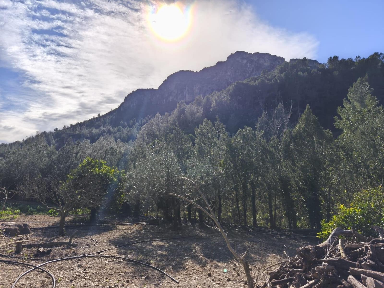 4 quarto Quinta/Casa Rural para venda em Alfara de Carles - 168 000 € (Ref: 9634817)