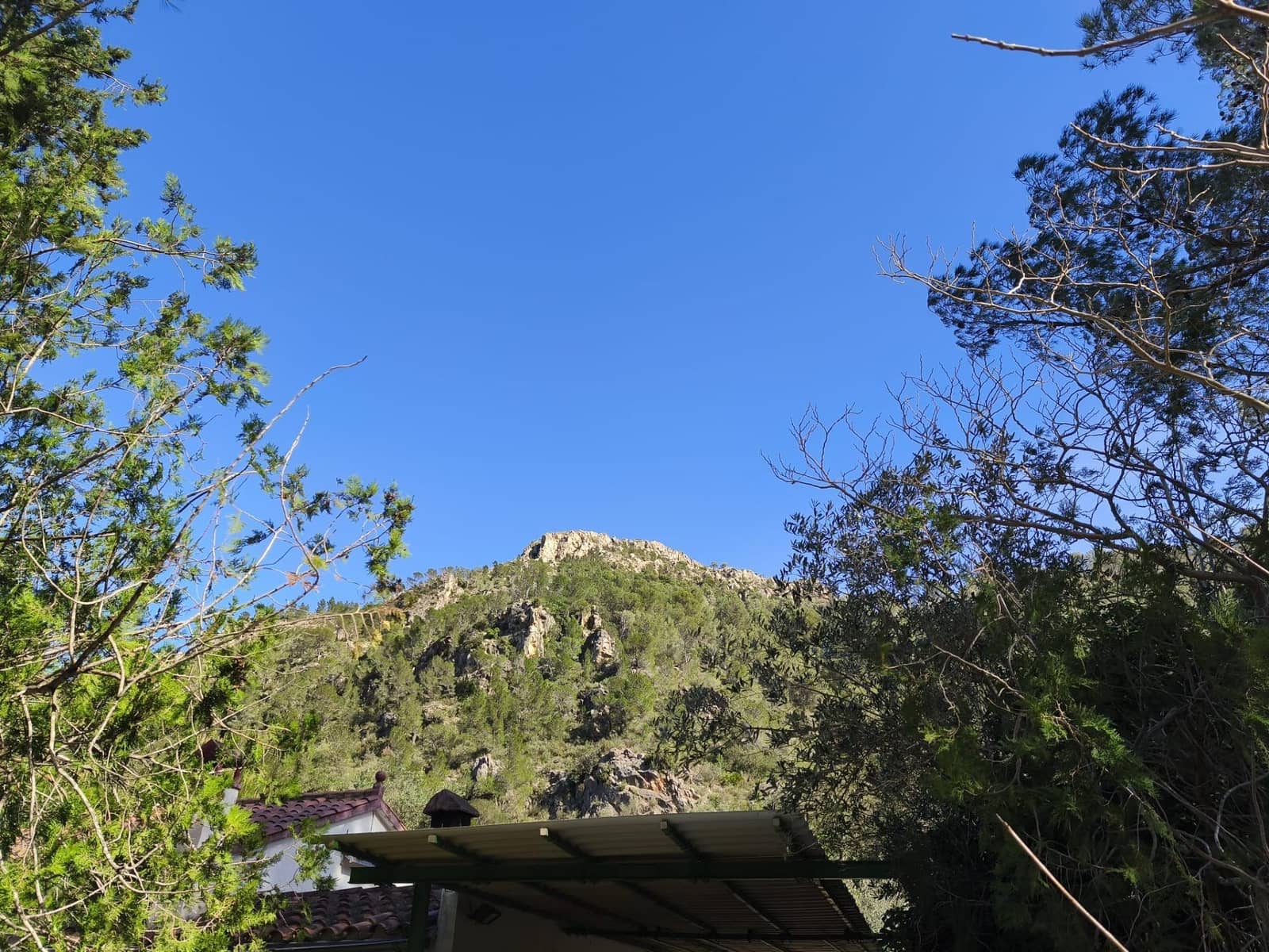 4 quarto Quinta/Casa Rural para venda em Alfara de Carles - 168 000 € (Ref: 9634817)