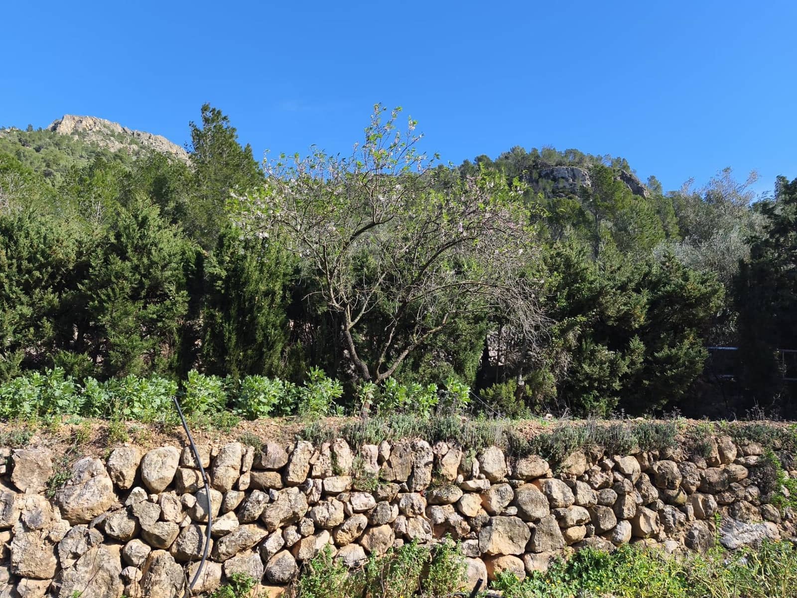 4 quarto Quinta/Casa Rural para venda em Alfara de Carles - 168 000 € (Ref: 9634817)