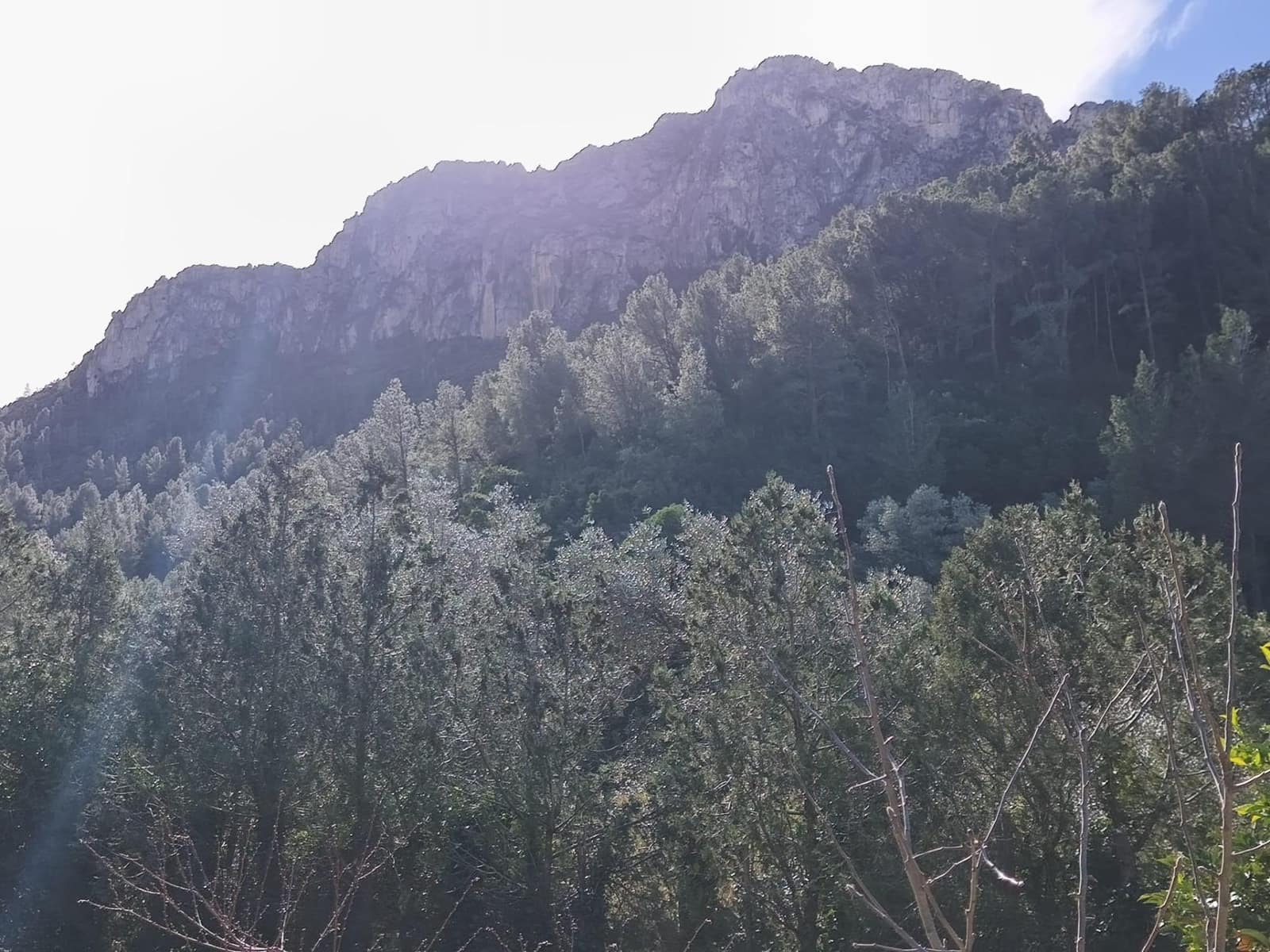 4 quarto Quinta/Casa Rural para venda em Alfara de Carles - 168 000 € (Ref: 9634817)