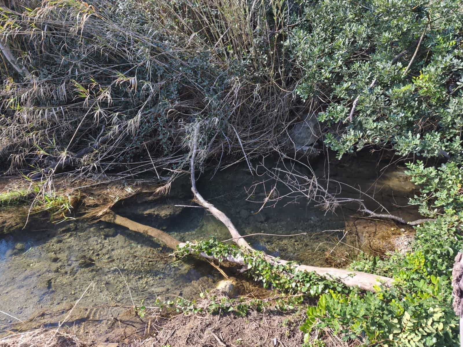 4 quarto Quinta/Casa Rural para venda em Alfara de Carles - 168 000 € (Ref: 9634817)