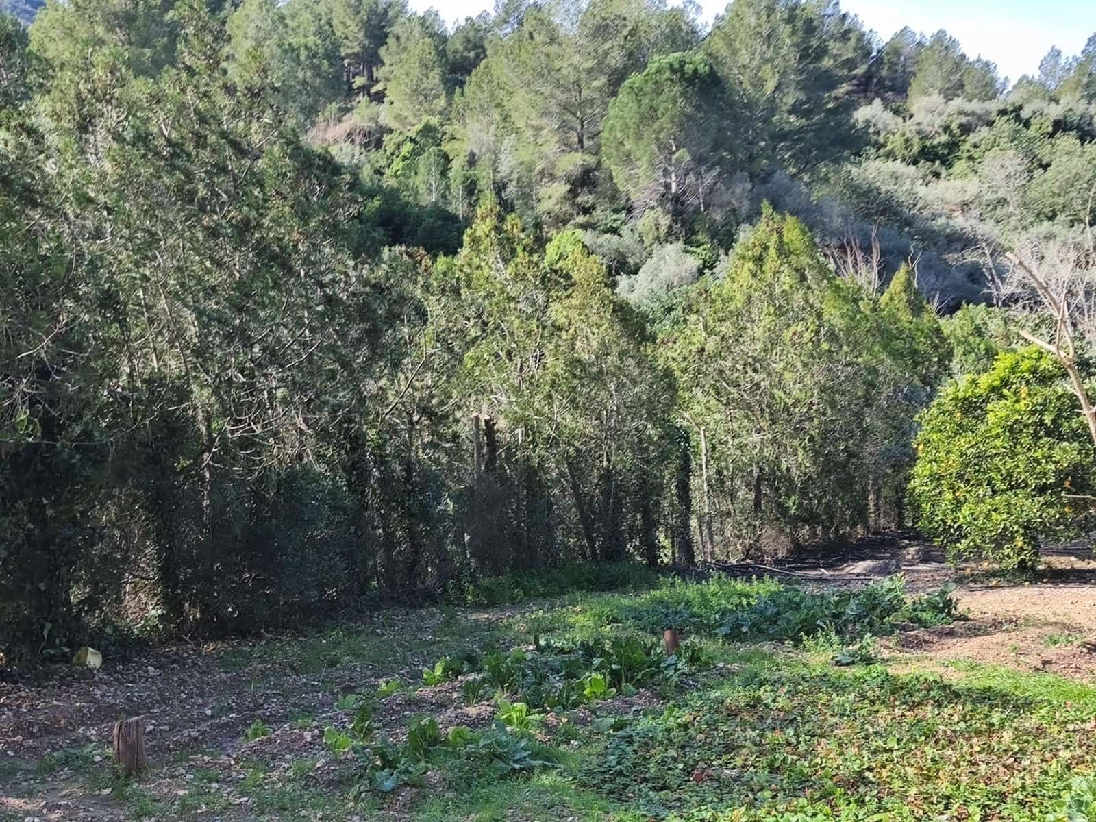 4 quarto Quinta/Casa Rural para venda em Alfara de Carles - 168 000 € (Ref: 9634817)