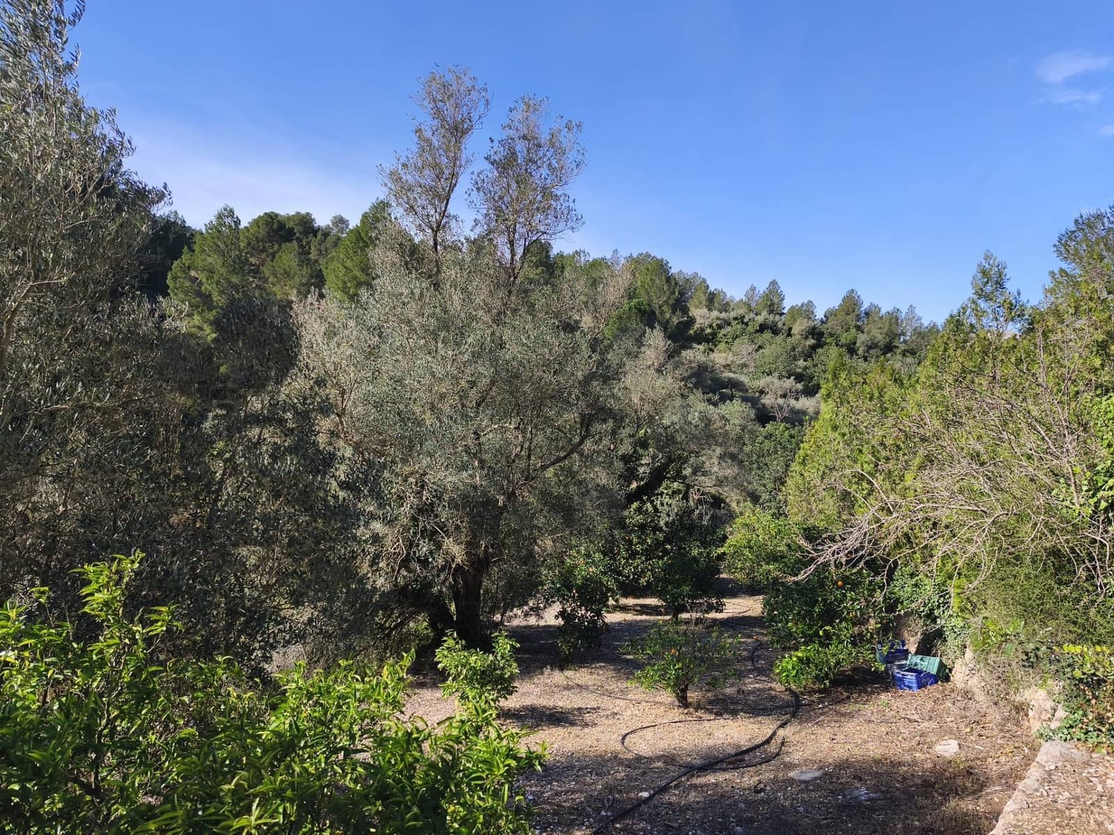 4 quarto Quinta/Casa Rural para venda em Alfara de Carles - 168 000 € (Ref: 9634817)