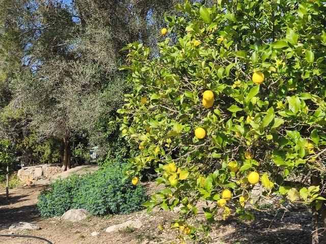 4 quarto Quinta/Casa Rural para venda em Alfara de Carles - 168 000 € (Ref: 9634817)