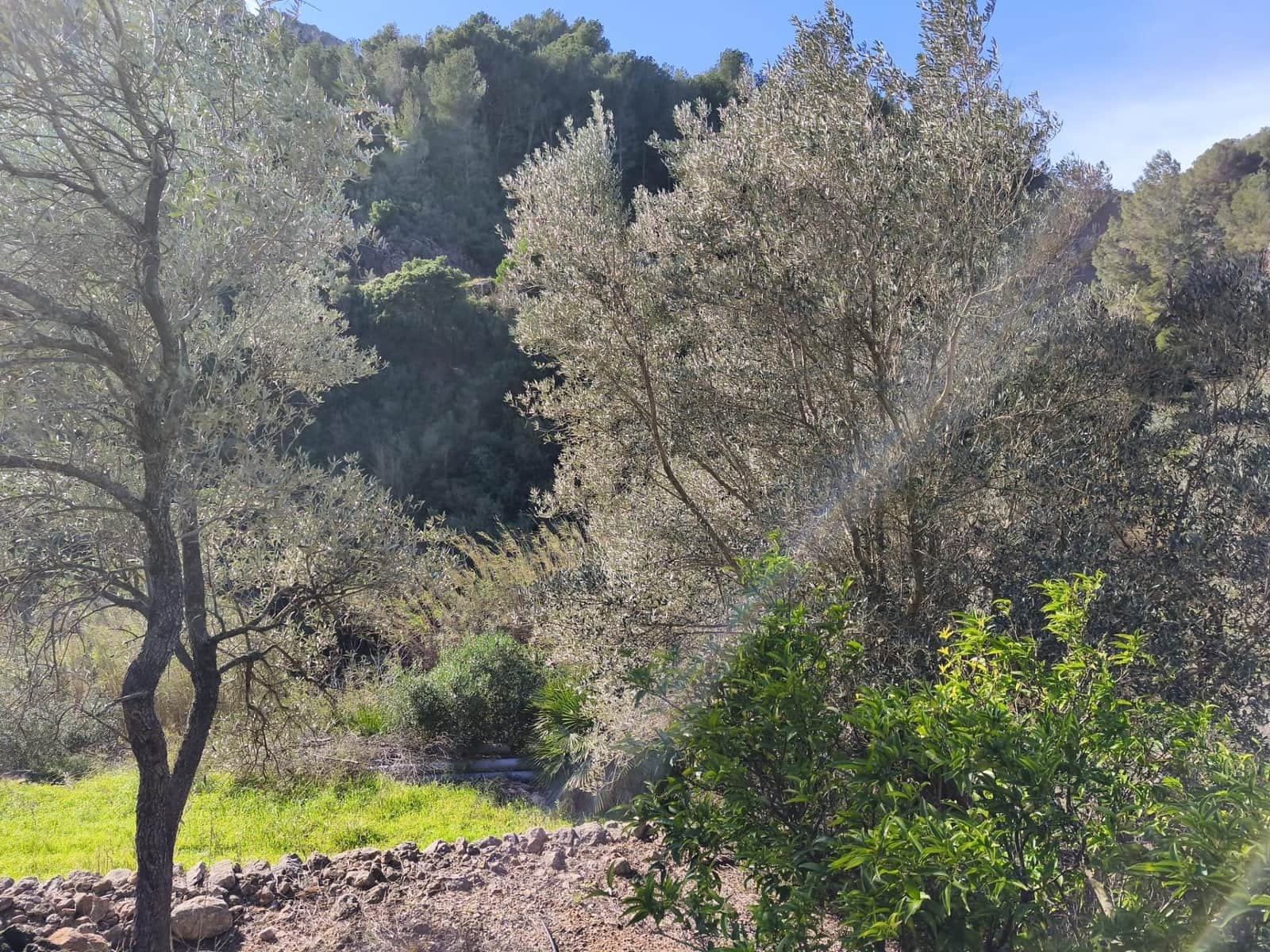 4 quarto Quinta/Casa Rural para venda em Alfara de Carles - 168 000 € (Ref: 9634817)