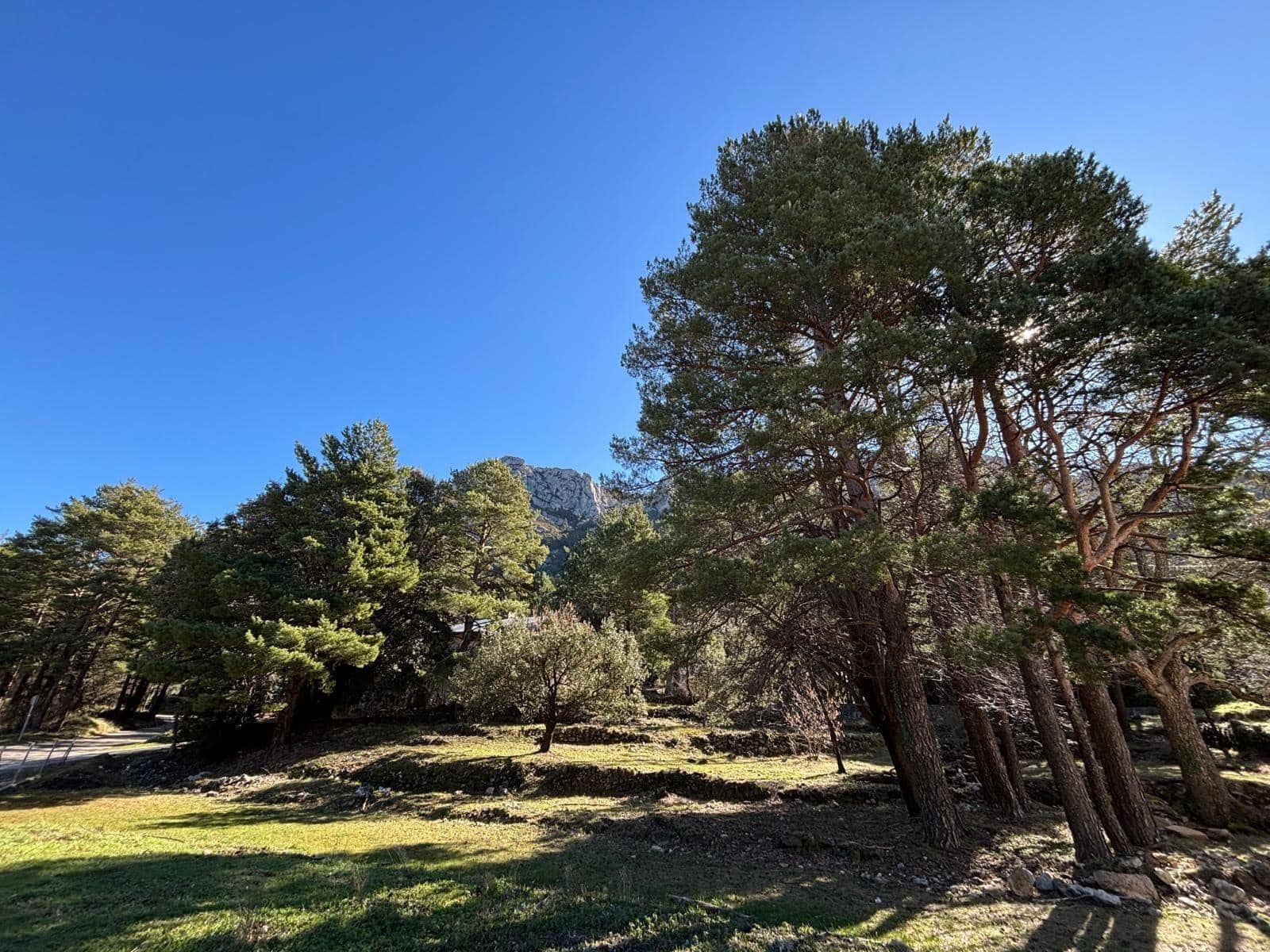 4 soverom Finca/Herregård til salgs i Tortosa - € 164 000 (Ref: 9652248)