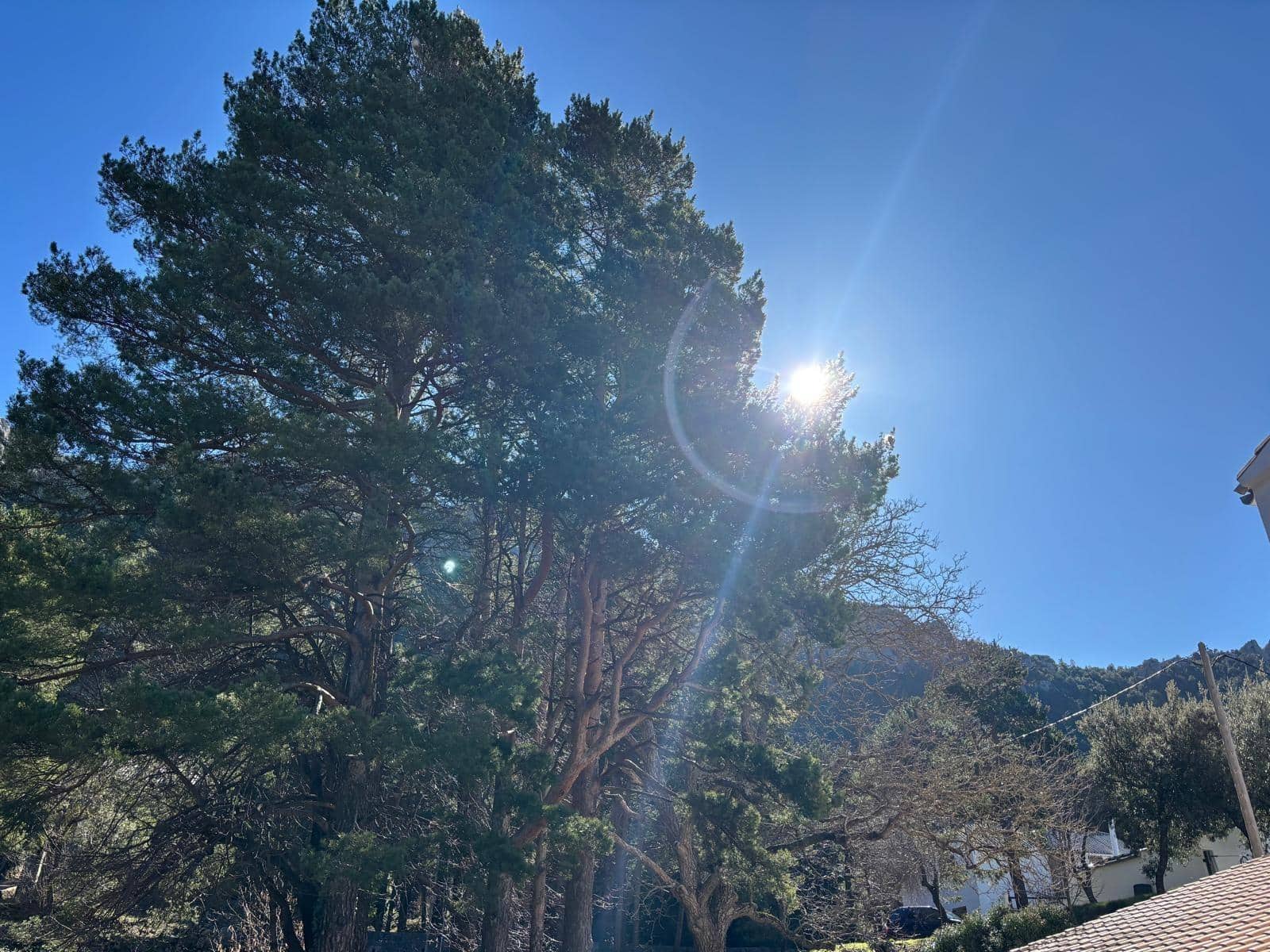 4 soverom Finca/Herregård til salgs i Tortosa - € 164 000 (Ref: 9652248)