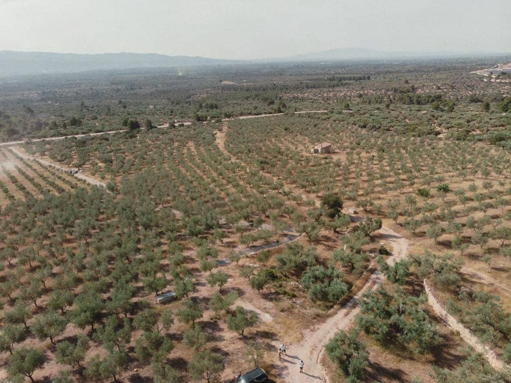 8 makuuhuone Huvila myytävänä paikassa Xerta mukana 
autotalli - 3 400 000 € (Ref: 9661982)