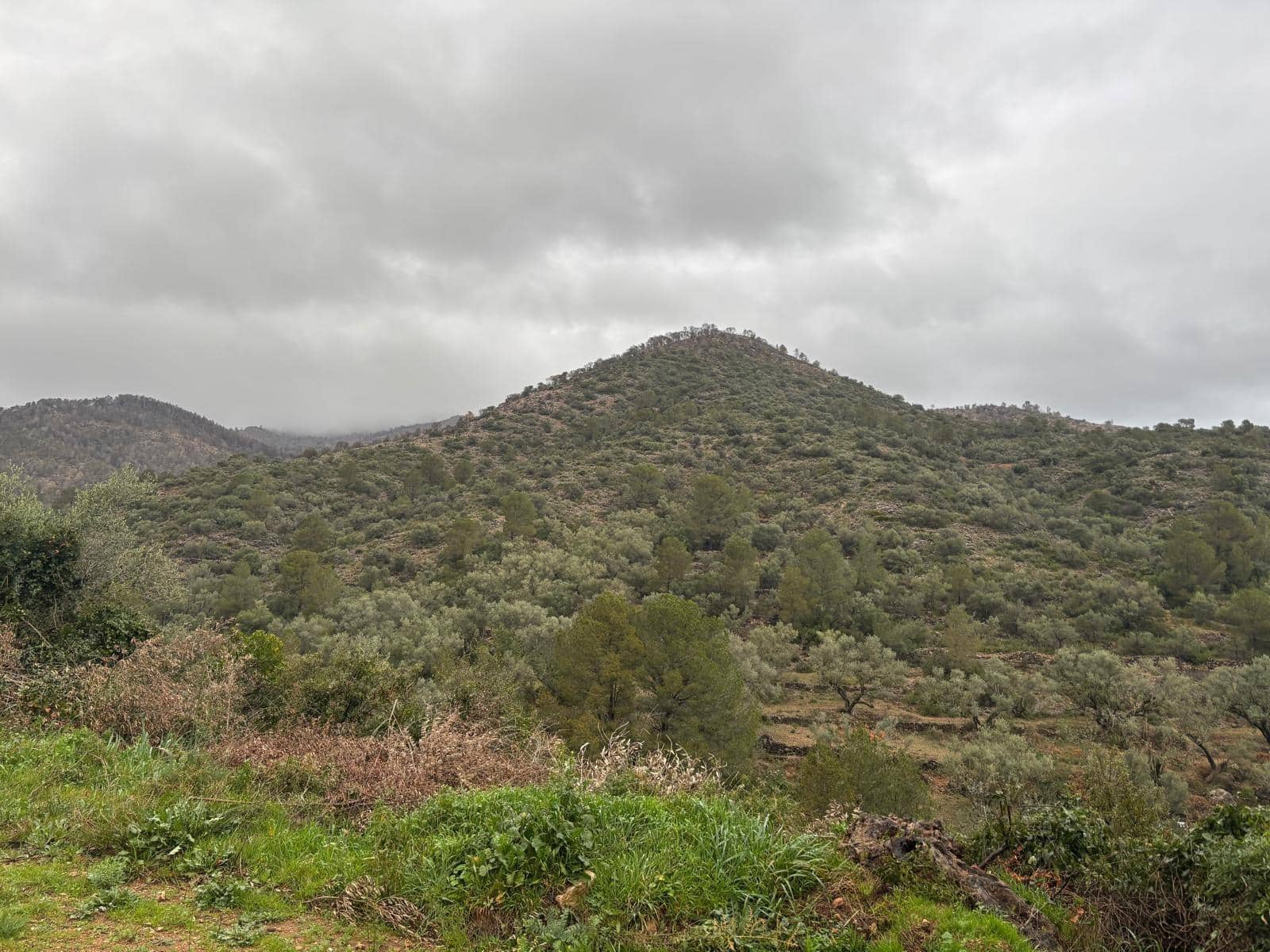 1 soveværelse Finca/Landehus til salg i Alfara de Carles - € 69.000 (Ref: 9661983)