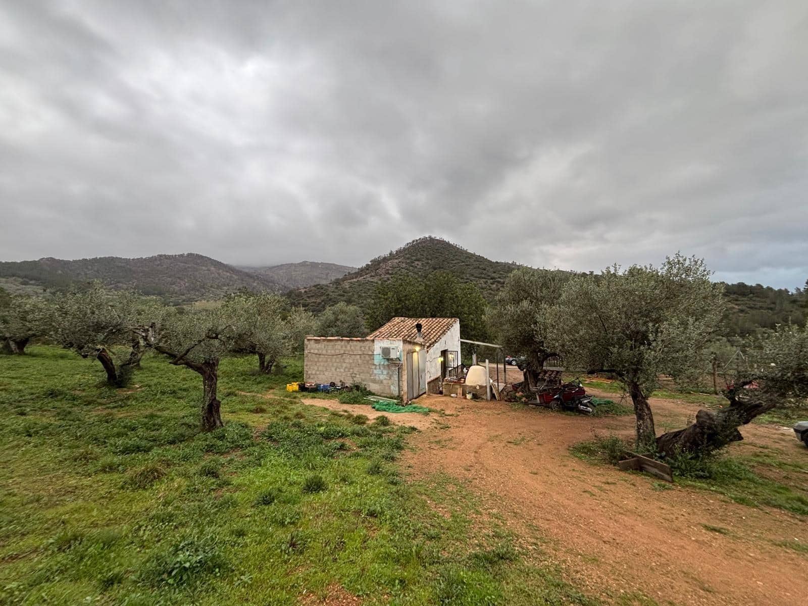 1 soveværelse Finca/Landehus til salg i Alfara de Carles - € 69.000 (Ref: 9661983)