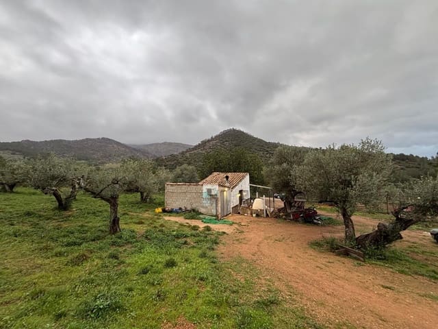 1 soveværelse Finca/Landehus til salg i Alfara de Carles - € 69.000 (Ref: 9661983)