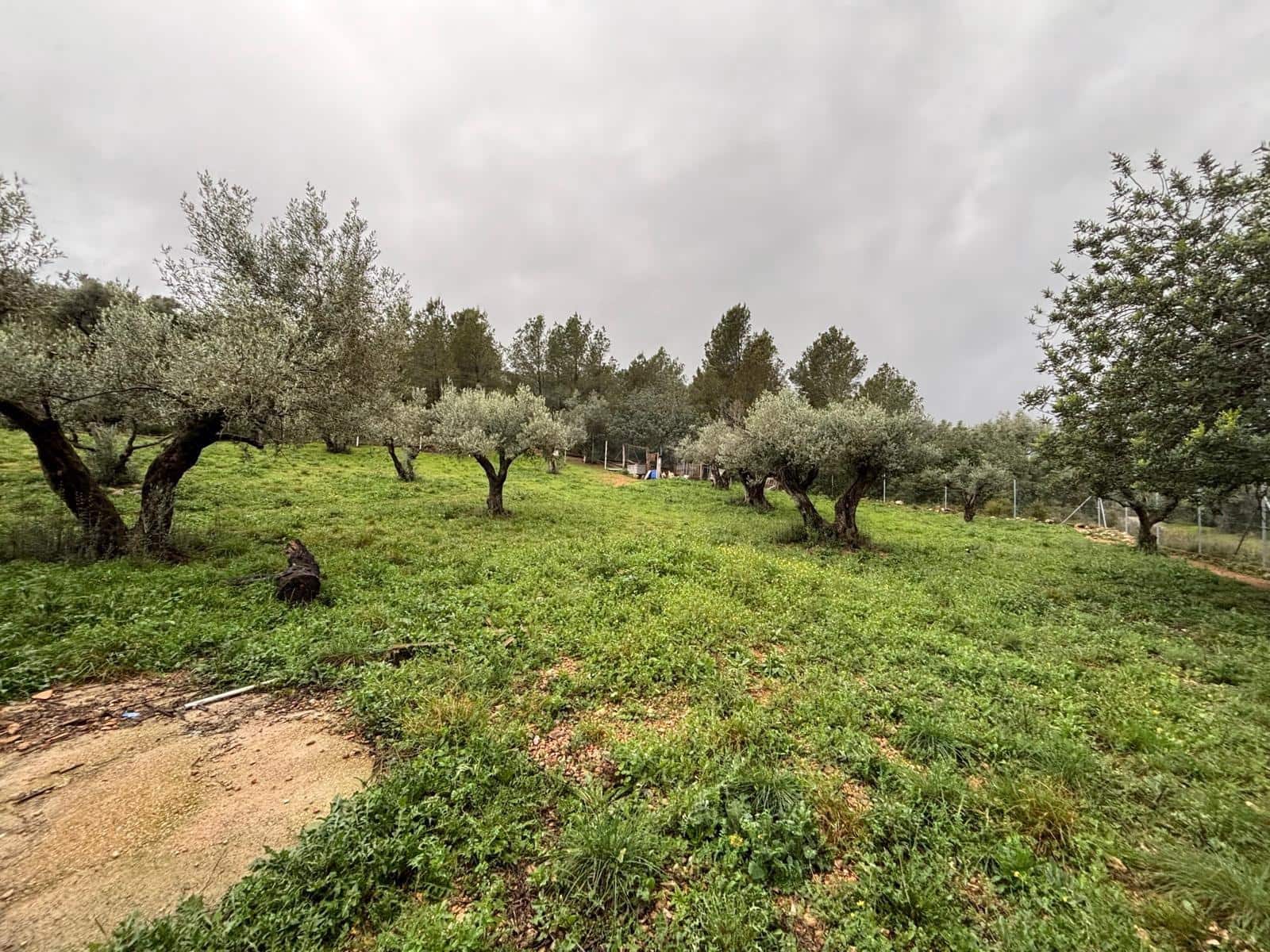 1 soveværelse Finca/Landehus til salg i Alfara de Carles - € 69.000 (Ref: 9661983)