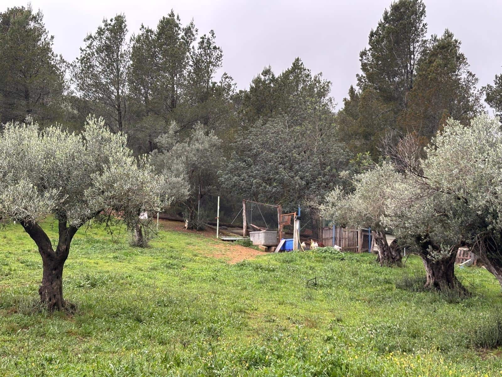 1 soveværelse Finca/Landehus til salg i Alfara de Carles - € 69.000 (Ref: 9661983)