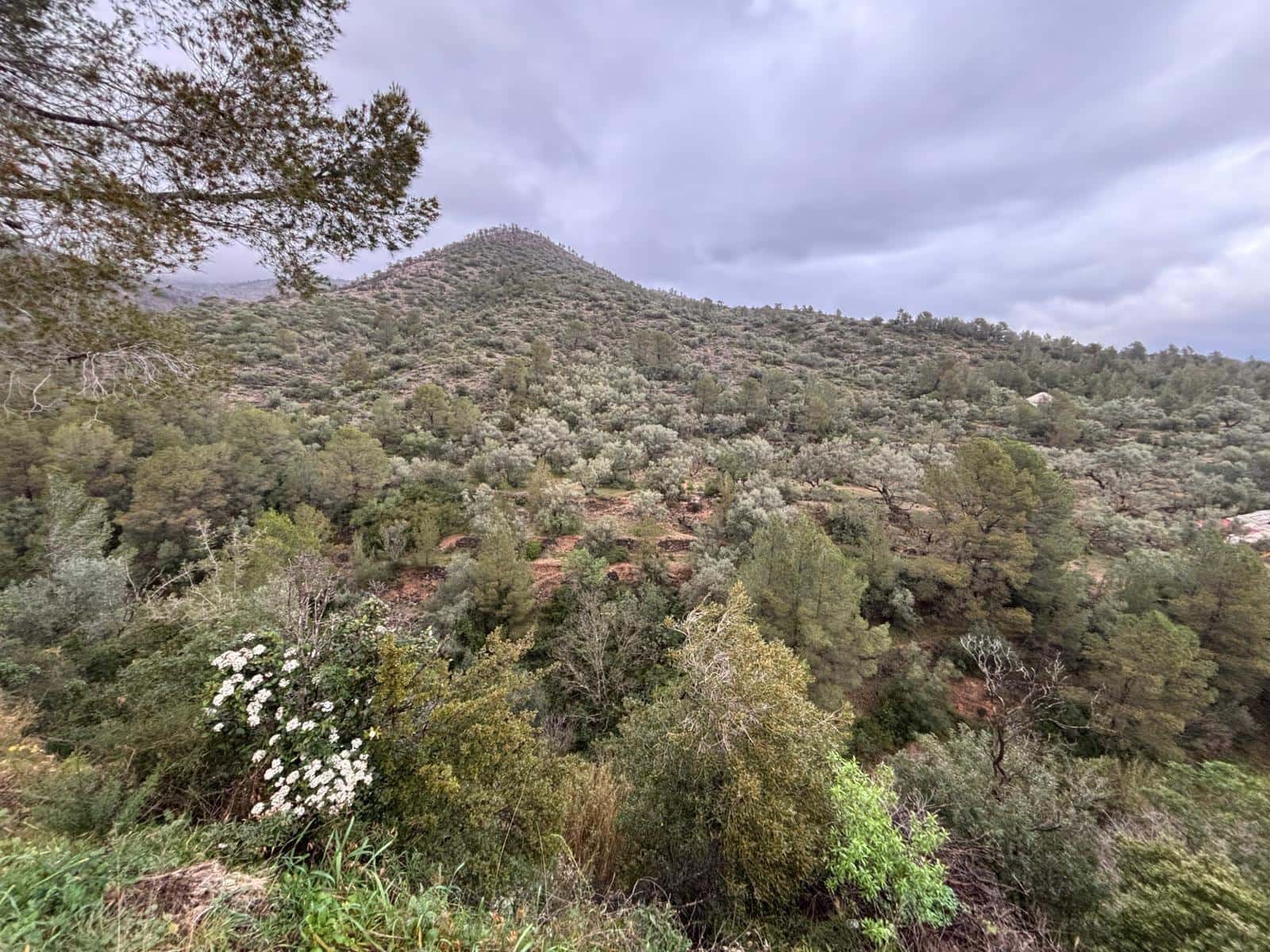 1 soveværelse Finca/Landehus til salg i Alfara de Carles - € 69.000 (Ref: 9661983)