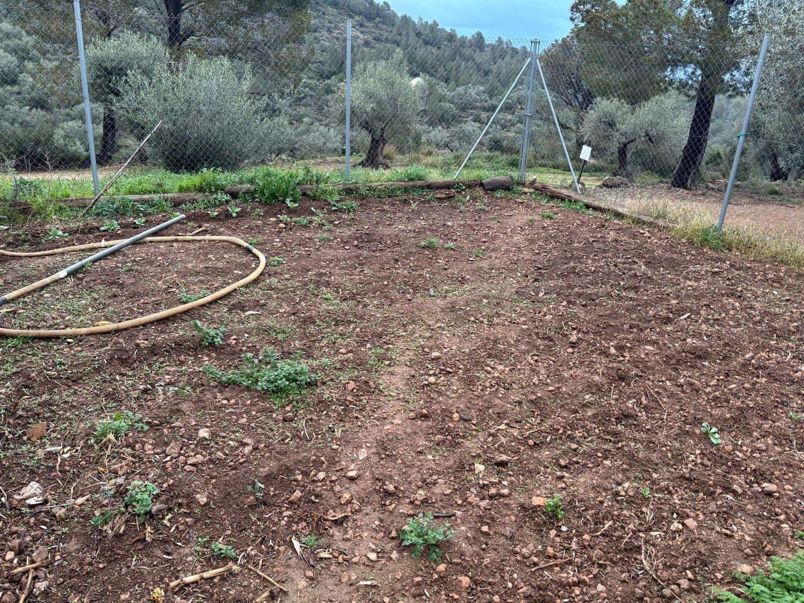 1 soveværelse Finca/Landehus til salg i Alfara de Carles - € 69.000 (Ref: 9661983)