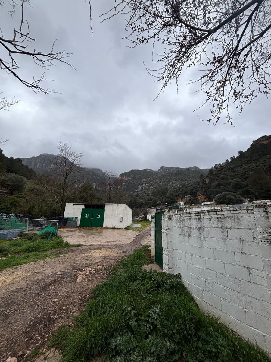 Negocio en Alfara de Carles en venta - 1.600.000 € (Ref: 9677645)