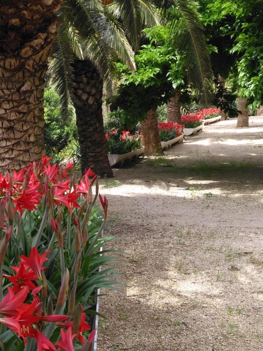 Negocio en Alfara de Carles en venta - 1.600.000 € (Ref: 9677645)