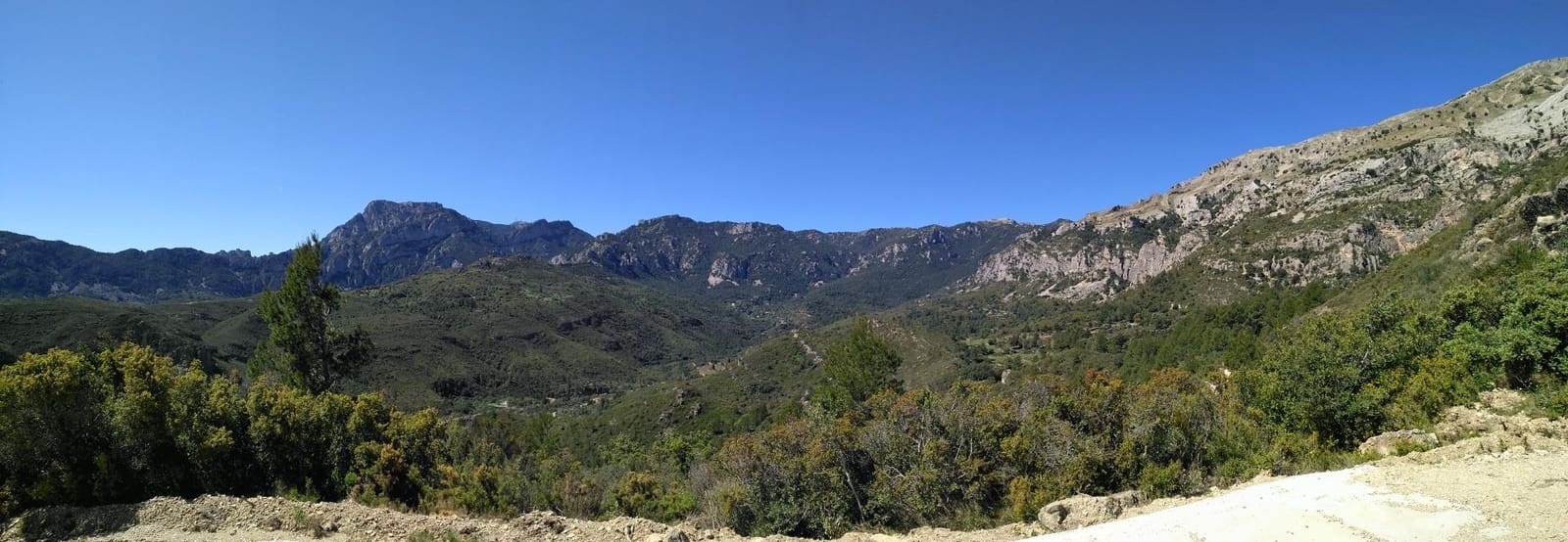 Negocio en Alfara de Carles en venta - 1.600.000 € (Ref: 9677645)