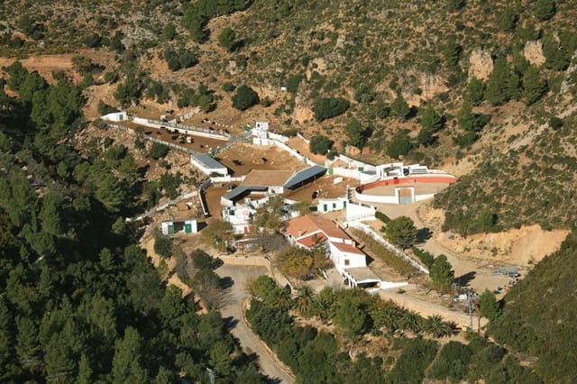 Business for sale in Alfara de Carles - € 1,600,000 (Ref: 9677645)