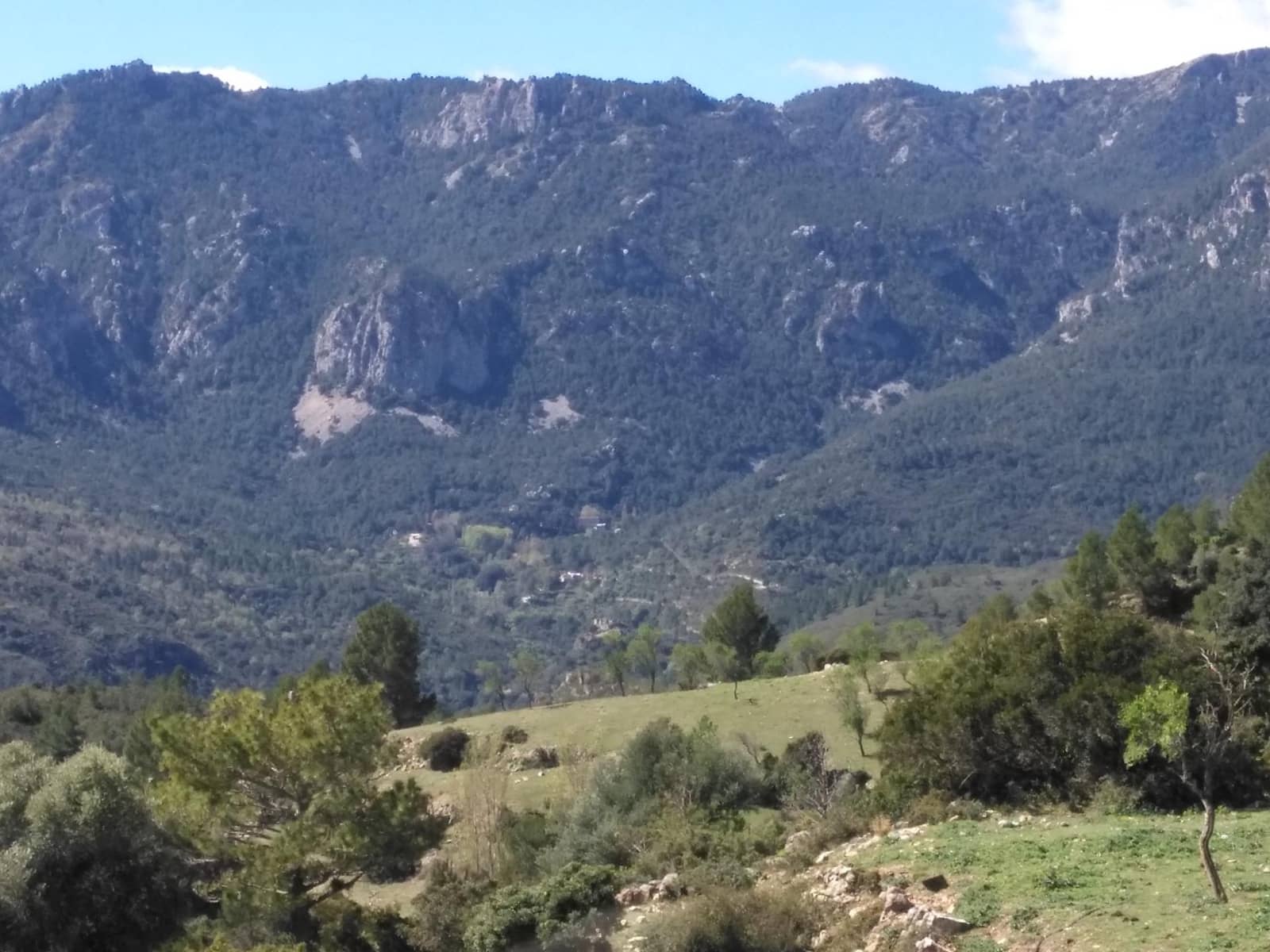 Negocio en Alfara de Carles en venta - 1.600.000 € (Ref: 9677645)