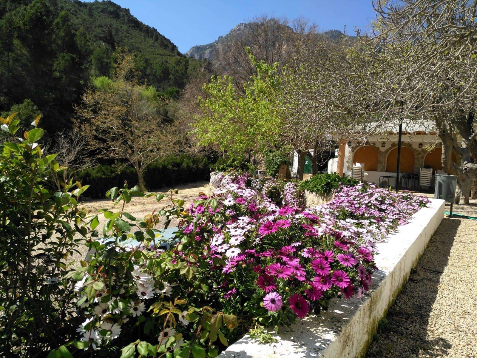 Negocio en Alfara de Carles en venta - 1.600.000 € (Ref: 9677645)