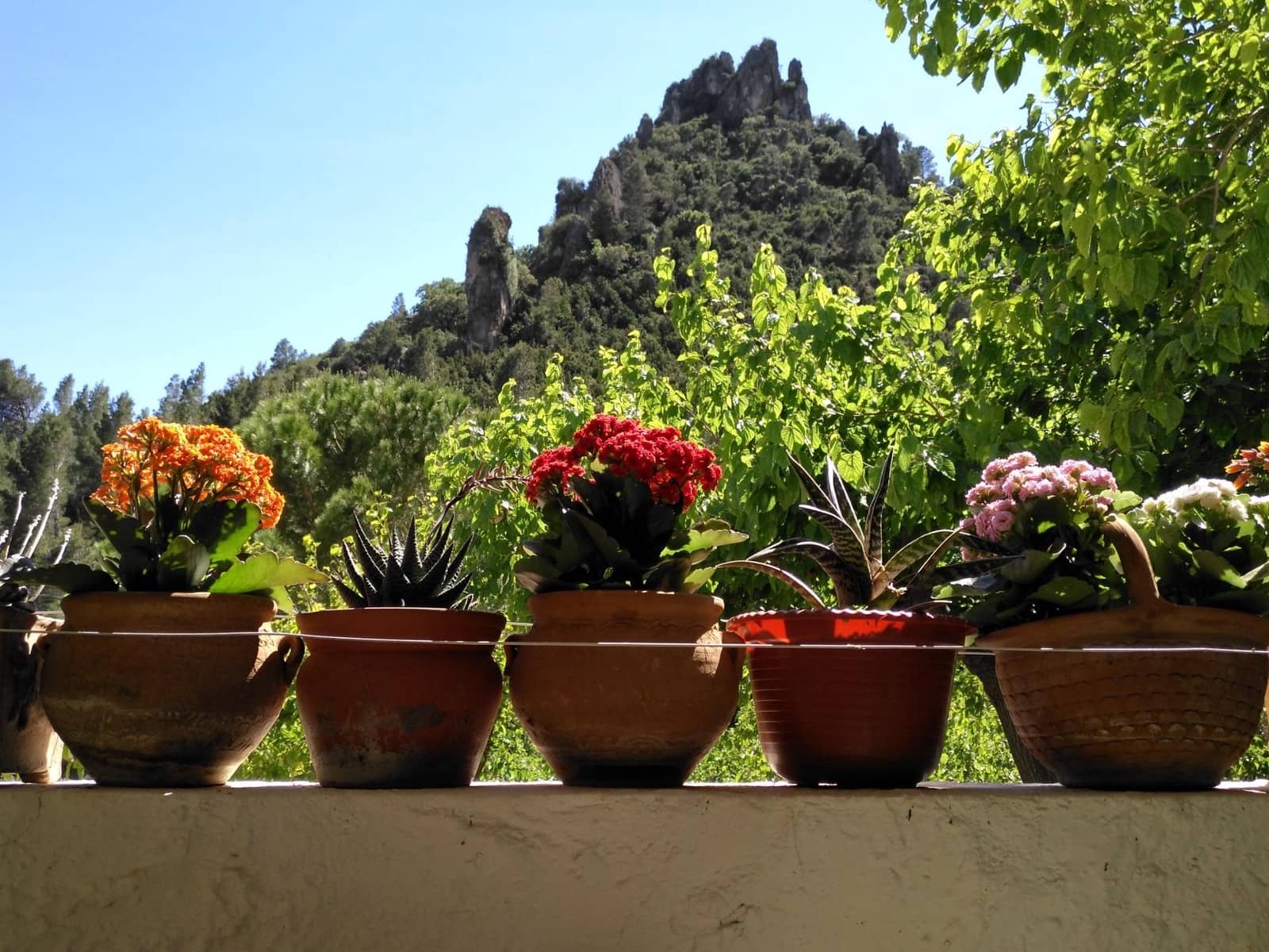 Negocio en Alfara de Carles en venta - 1.600.000 € (Ref: 9677645)