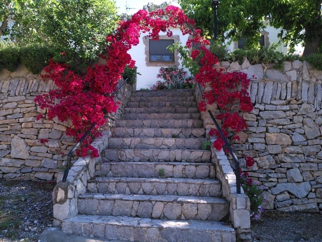 Business for sale in Alfara de Carles - € 1,600,000 (Ref: 9677645)