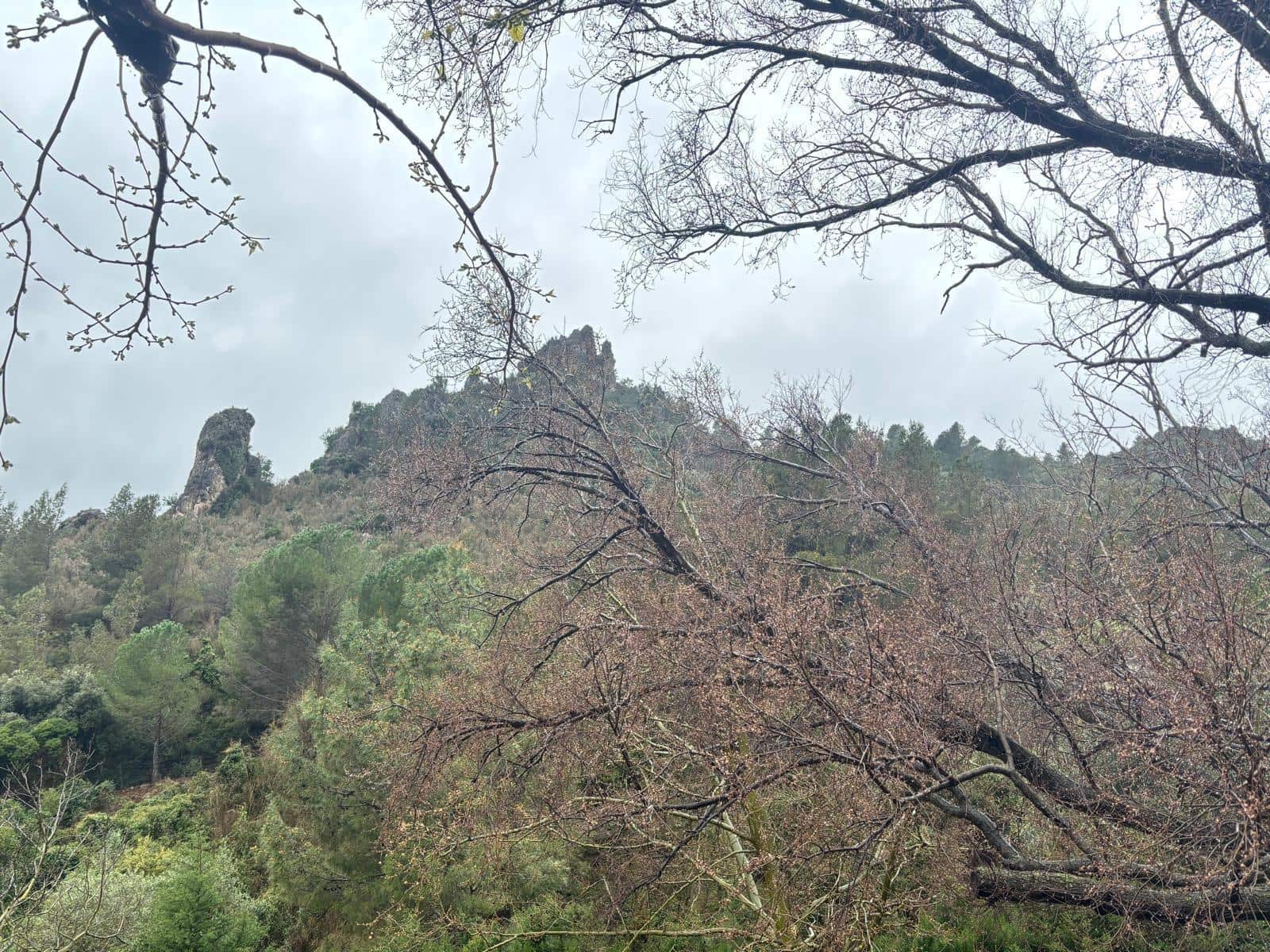 Negocio en Alfara de Carles en venta - 1.600.000 € (Ref: 9677645)