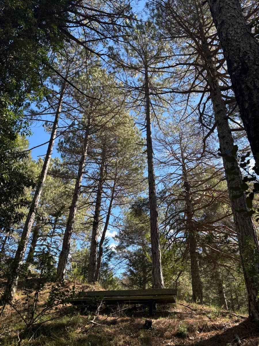 4 bedroom Finca/Country House for sale in Tortosa with garage - € 265,000 (Ref: 9715149)