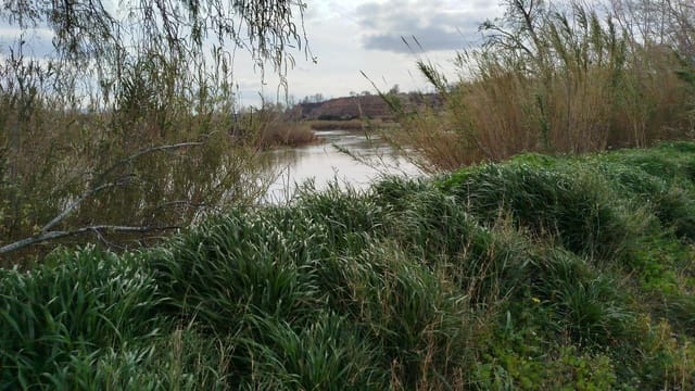 Maalaistalo myytävänä paikassa Xerta - 49 000 € (Ref: 9773350)