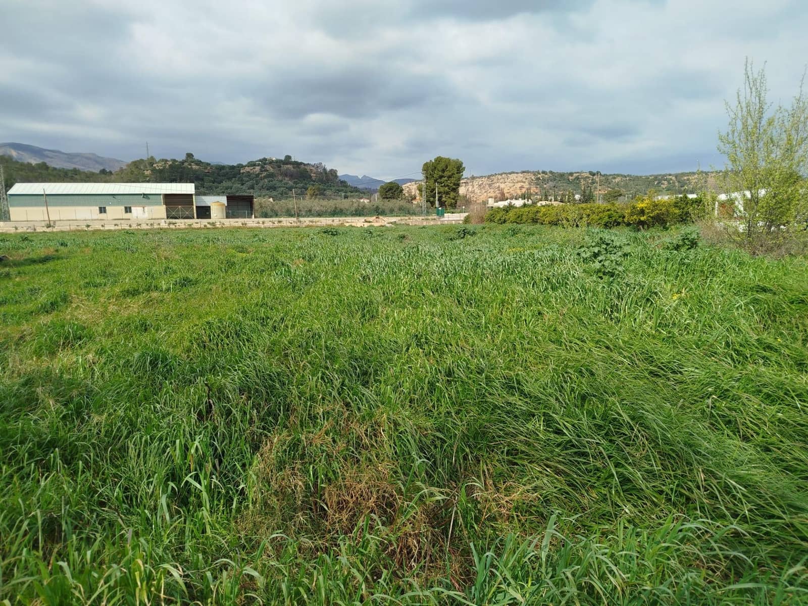 Finca/Country House for sale in Xerta - € 49,000 (Ref: 9773350)