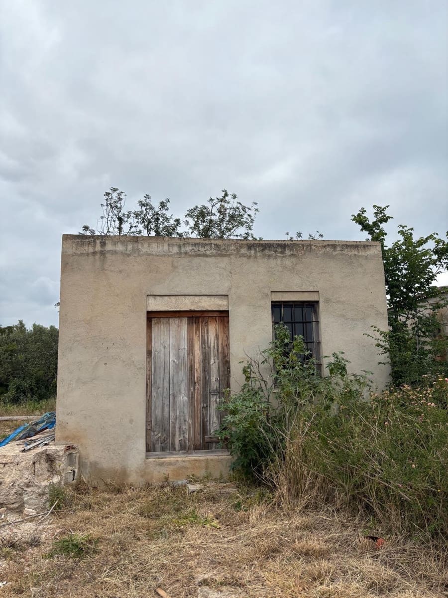 Negocio en Xerta en venta - 92.000 € (Ref: 9816050)