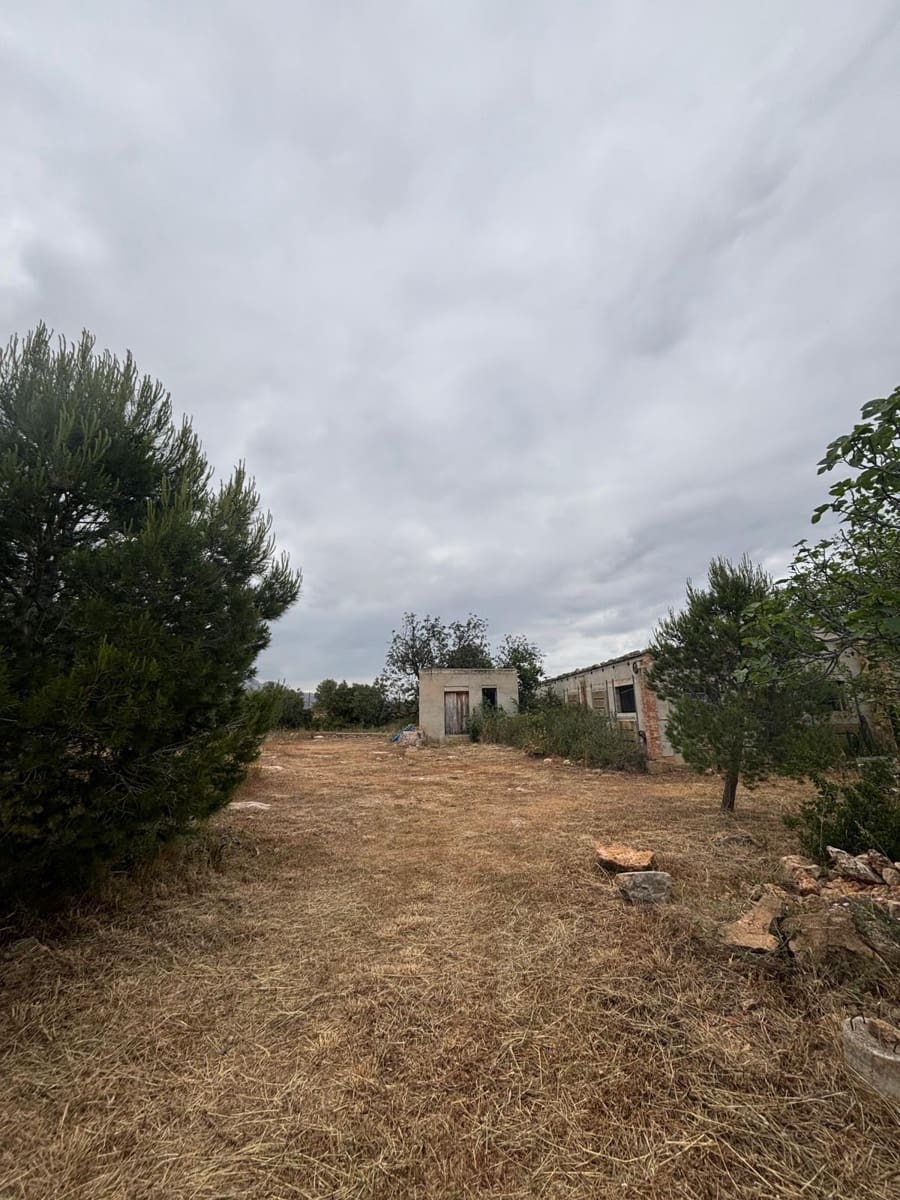 Negocio en Xerta en venta - 92.000 € (Ref: 9816050)