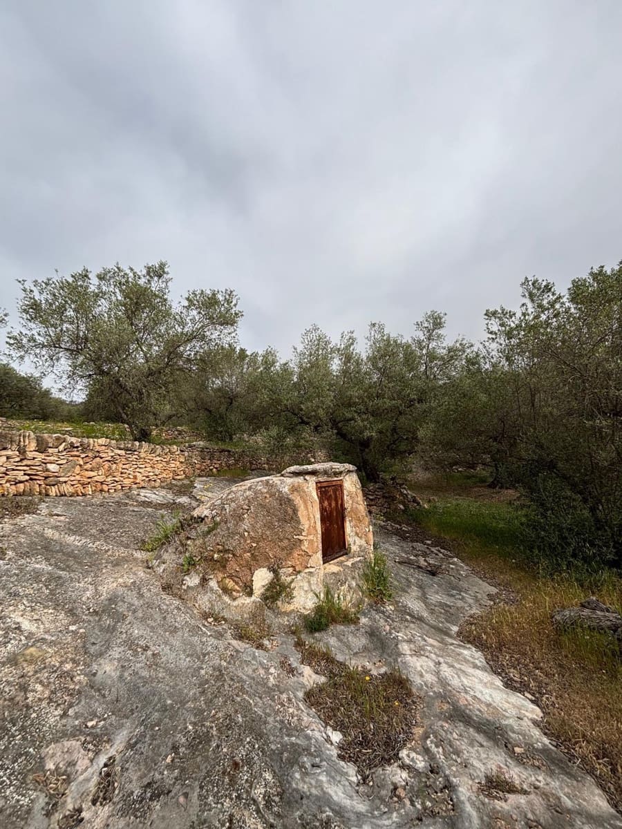 Negocio en Xerta en venta - 92.000 € (Ref: 9816050)