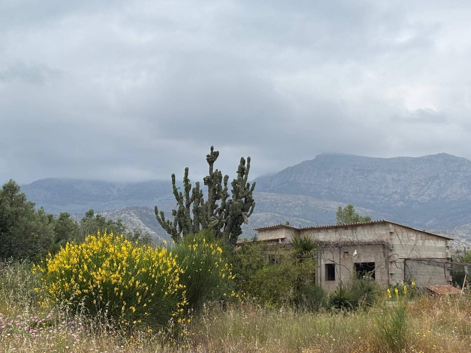 Negocio en Xerta en venta - 92.000 € (Ref: 9816050)