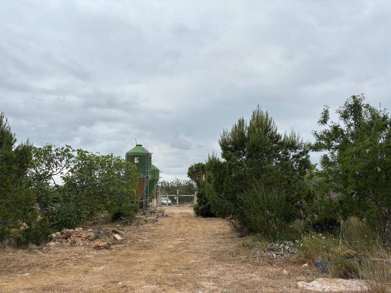 Negocio en Xerta en venta - 92.000 € (Ref: 9816050)