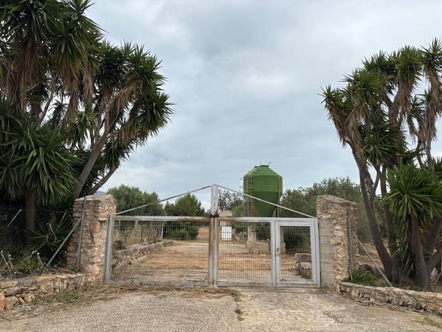 Negocio en Xerta en venta - 92.000 € (Ref: 9816050)