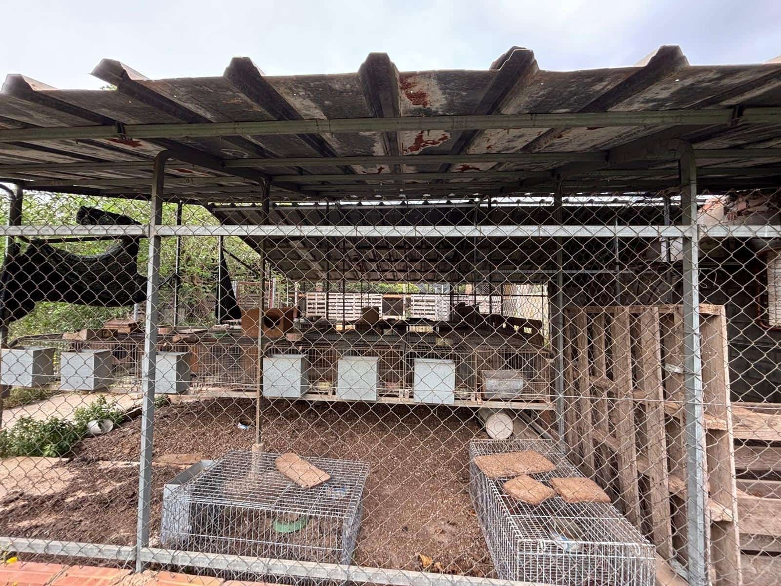 Negocio en Xerta en venta - 92.000 € (Ref: 9816050)