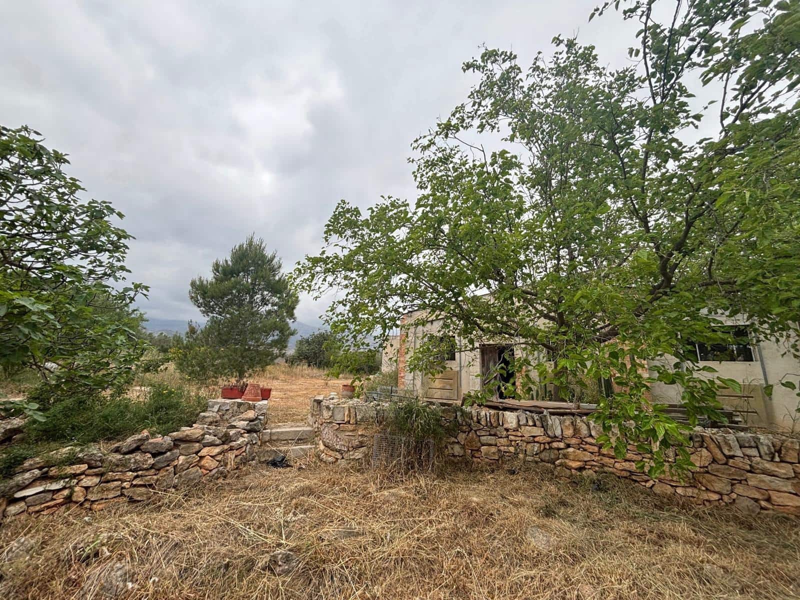 Negocio en Xerta en venta - 92.000 € (Ref: 9816050)